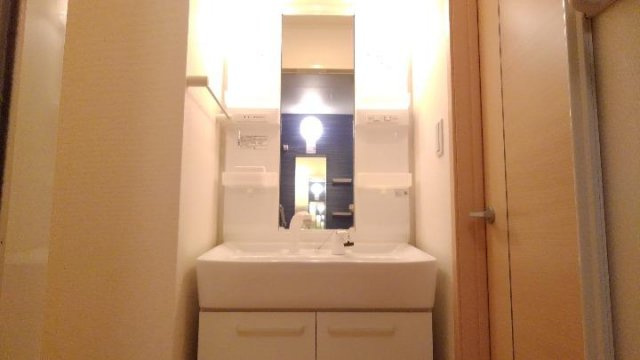 カームリーガーデンⅣの洗面所