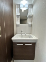 ゆったりとスペースのある洗面所