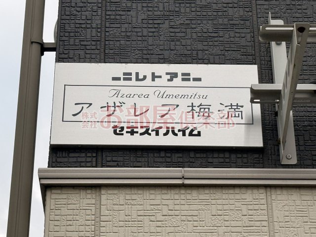 アザレア梅満のその他