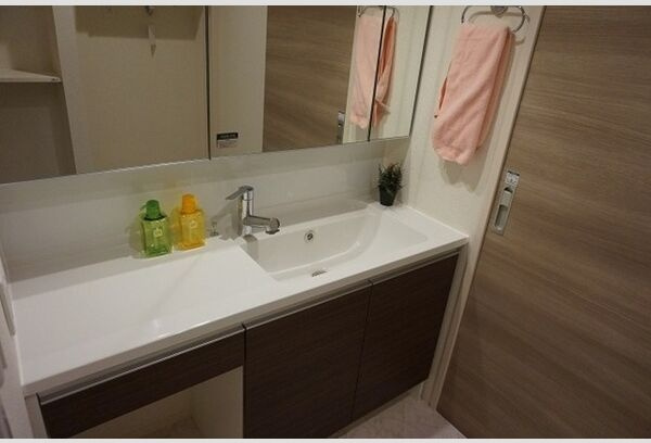 パーチェGINANⅡの洗面所