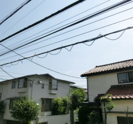 コンフォート・エスの展望