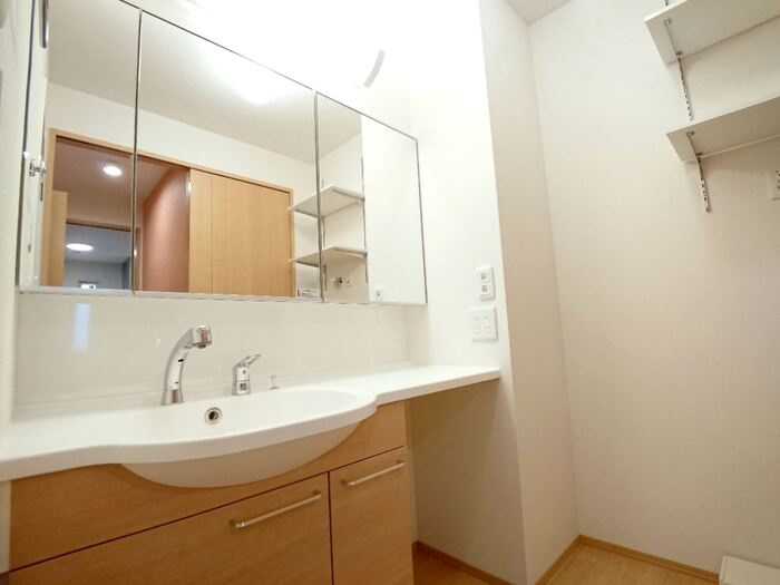 泉大津市寿町のハイツの洗面所|使いやすい洗面所です