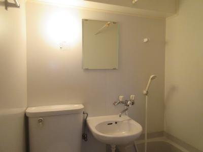 プレアデスの洗面所