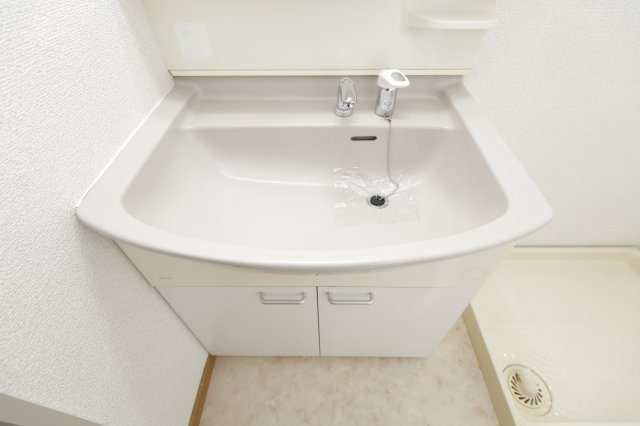 プラムエヌティーの洗面所