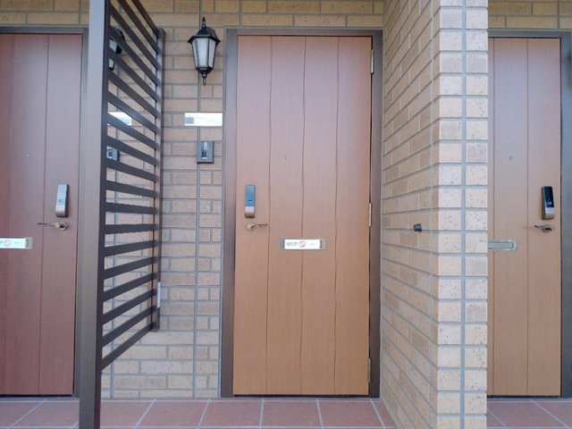 ｴﾐﾈﾝｽ ﾊﾟﾚ/ｻﾝﾗｲｽﾞ ﾊﾟﾚ ｻﾝﾗｲｽﾞ ﾊﾟﾚの玄関|玄関ドア