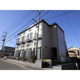 アムール SUZUKIの画像