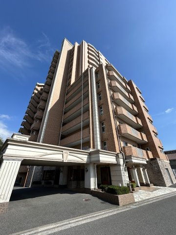 ヴェルディこころの画像