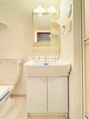 エスリード京橋Ⅲ番館 の洗面所