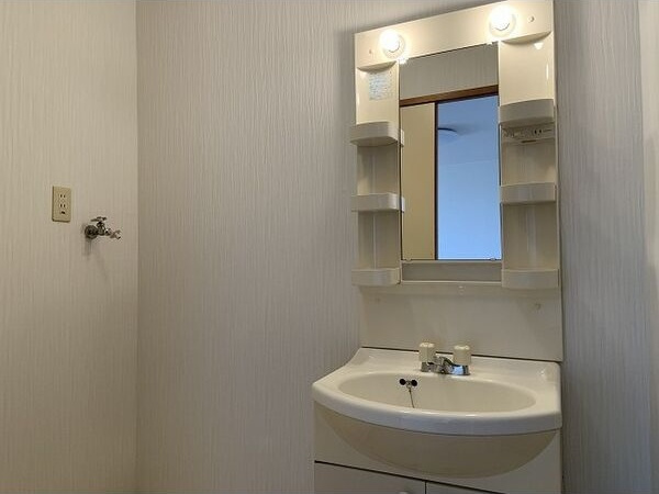 Surplus　Three　平和　　刈谷市の賃貸ならクラスホーム刈谷店の洗面所