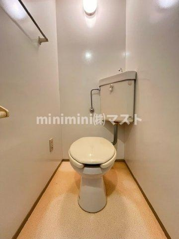 ＶＥＲＧＥＲ　ＺＥＮＳＨＩＮのトイレ