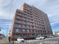 パシフィック共栄大通参番館1101号室の画像