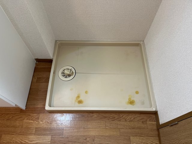 ル・ヴァン・アヴニールのその他