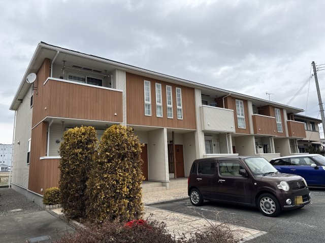 チェリー・ブロッサムⅢ