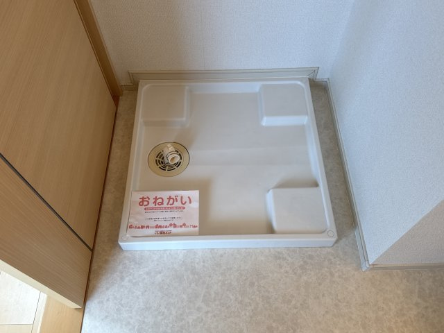 サンフラワーのその他