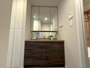 【独立洗面台】 | 2026年1月26日撮影