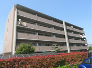 バウムドルフの画像