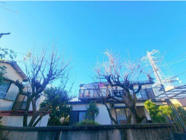 ロイヤルハイツ　礼金0　バストイレ別　宅配BOXの展望