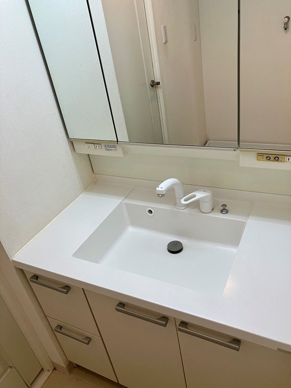 スター・レジデンス三ツ境の洗面所