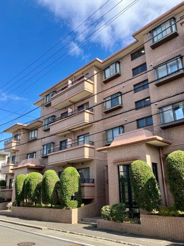 スター・レジデンス三ツ境