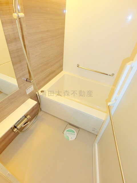 ザ・レジデンス蒲田アイリスコートの居間・リビング