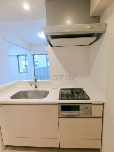 ザ・レジデンス蒲田アイリスコートの収納|収納　クローゼット