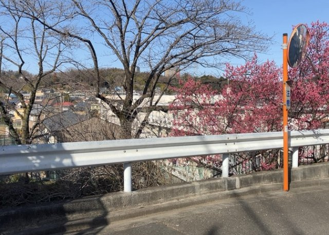 【展望】 | 土地の地勢が高台の場合、景色を綺麗にみることができ、景色にこだわってお家探ししている方におすすめです！また平坦地よりも風通しがいいというメリットがあります。デメリットもあるので是非現地でご確認下さい。