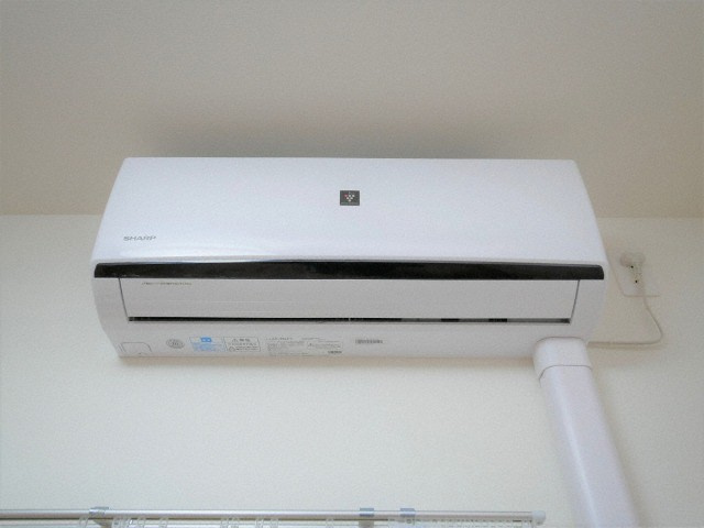 Ｐａｒｖｉｓ　Ｆｌｏｒａ　Ｔｓｕｒｕｍｉの設備