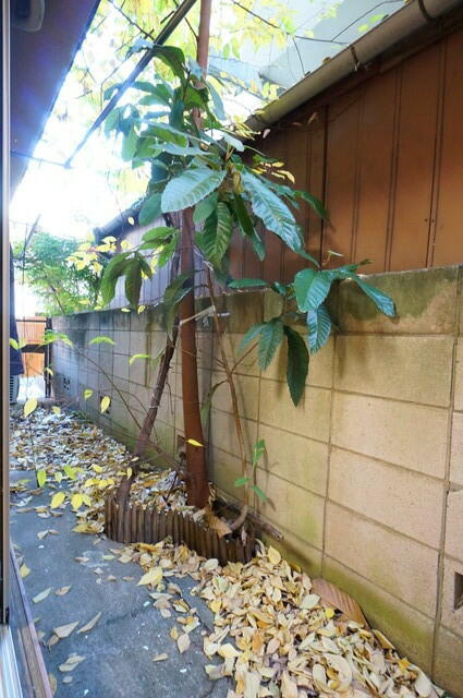 ※別号室の写真となります。