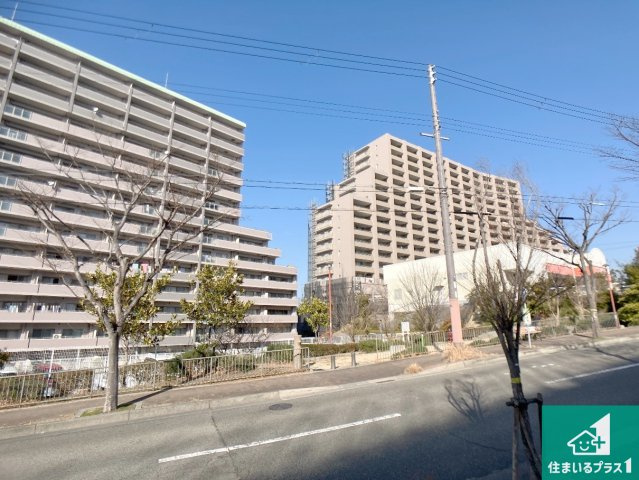 ウインヒルズジェームズ山の外観|周辺は閑静な住宅街！前面道路広々で車の出し入れも便利です。駐車が苦手な方でも安心して車庫入れできます！