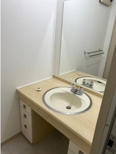 クレール桜新町　高級賃貸　駐車場1台無料　オートロック　角部屋の洗面所