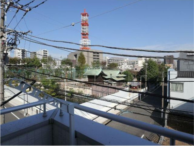 【展望】 | ルピナス清川