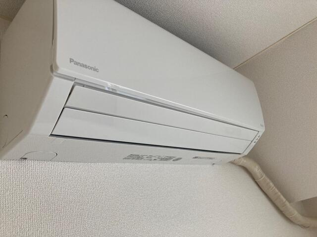 参考写真