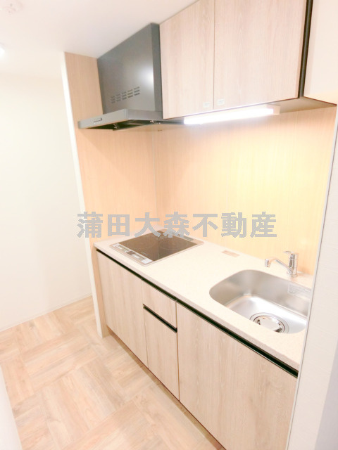 ハーモニーグラシア蒲田@仲介手数料最大無料のキッチン|2口IHシステムキッチン