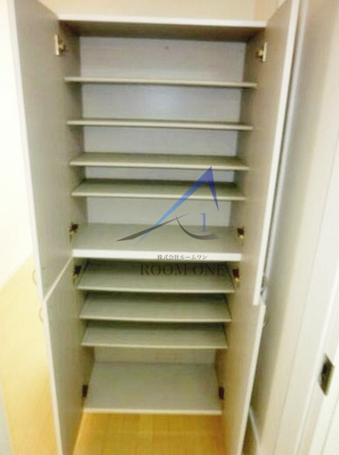 Ｅ　ｃａｒｉｎａのその他