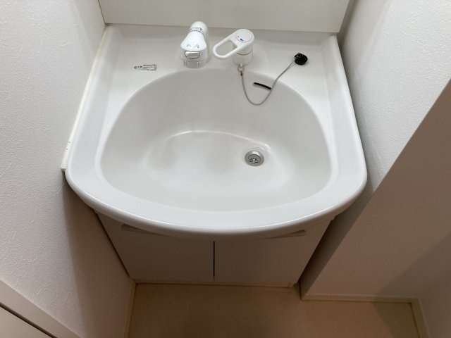 メゾン ハピネスの洗面所