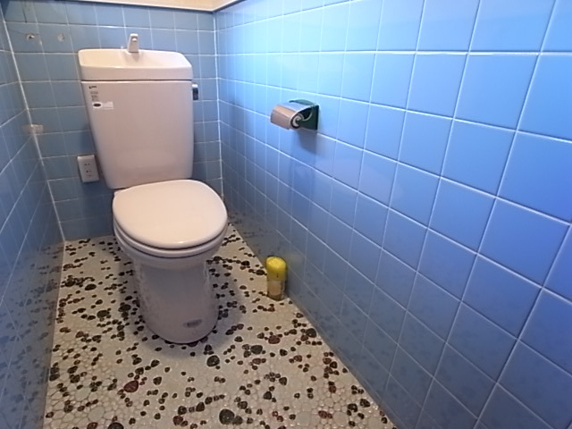 清水通貸家のトイレ