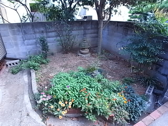 清水通貸家の庭