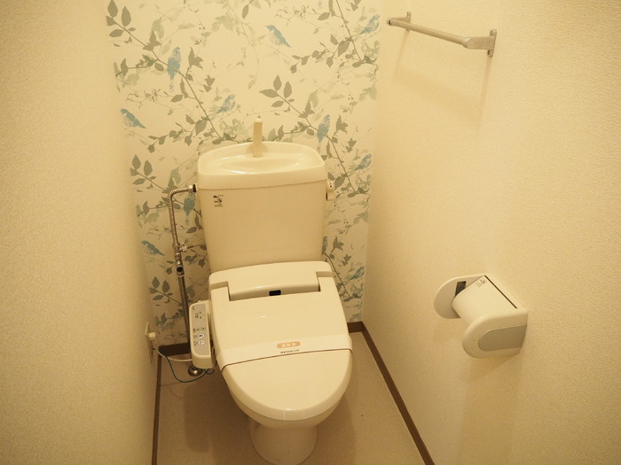 ミレニーHIRO　Bのトイレ