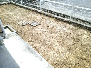 【庭】 | パルテノン吉藤Ｃ | 簡単な家庭菜園も楽しめるお庭です