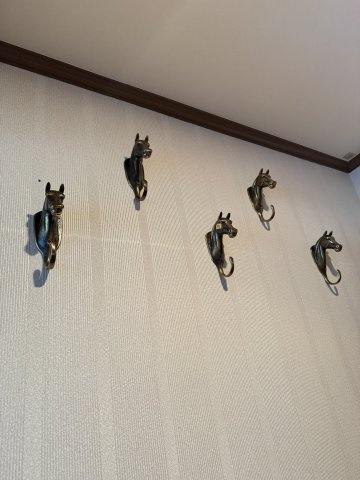 ザレジデンス白金スイートの内装