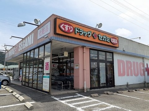 ルミナス名東　Ⅰの周辺|ドラッグセガミ名東店さんまで1800m