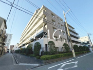 ステラコートの画像