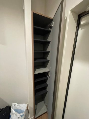 Lavie Akitsuのその他