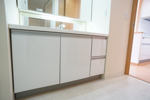 ラ・ビスタ宝塚レフィナス１番館の洗面所