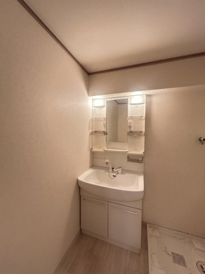 【独立洗面台】 | グリーンガーデン羽衣