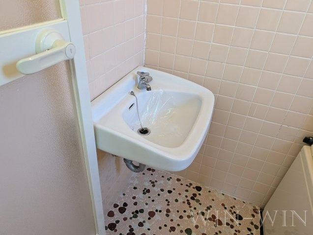 コーポ松山の洗面所