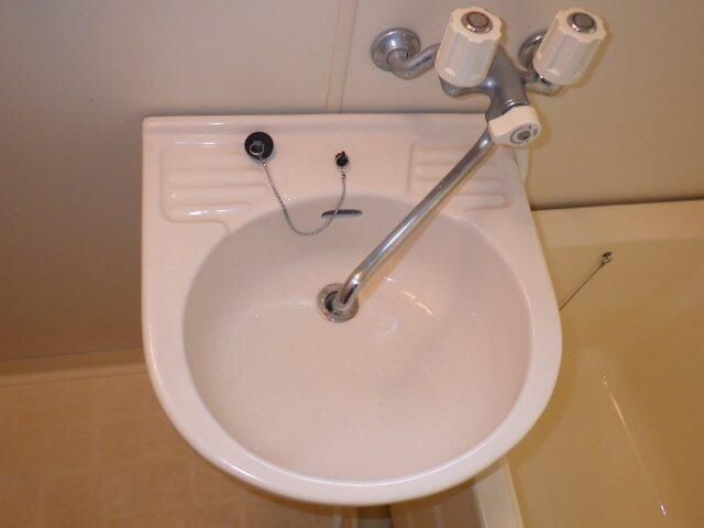 ホワイトリーオの洗面所