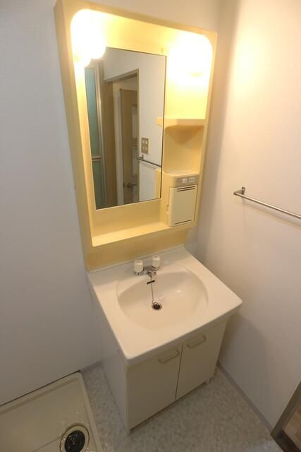 ドミール八坂(ドミールヤサカ)の洗面所