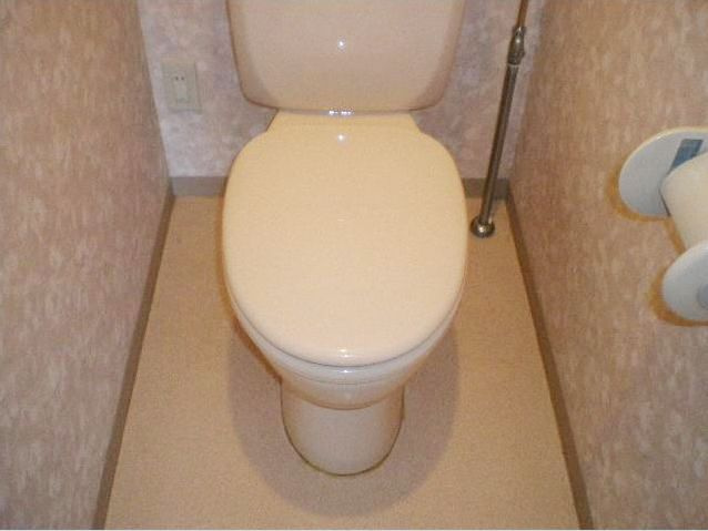 さいたま市浦和区常盤３丁目の賃貸マンションのトイレ|別室参考写真です。