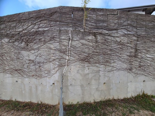  | 玉湯町玉造売土地 | 西側